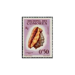 como 019/024 *