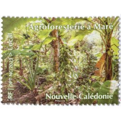 Nouvelle Calédonie 