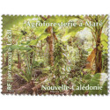 Nouvelle Calédonie 