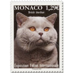 Monaco - 3 **