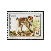 Algérie - Timbre poste n° 928/931 