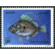 Algérie - Timbre poste n° 961/964 