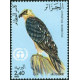 Algérie - Timbre poste n° 772/775 