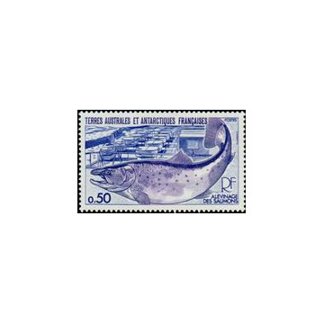 https://agerberphilatelie.fr/122850-thickbox/taaf-timbre-poste.jpg