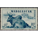 mad 304 *