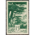 maroc 168 *