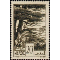 maroc 169 **