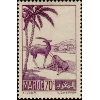 maroc 177 *