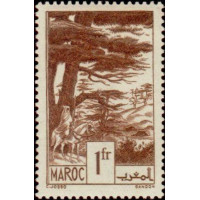 maroc 182 **