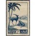 maroc 196 *