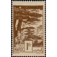 maroc 227 *