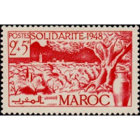 maroc 272 **