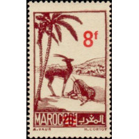 maroc 270 *