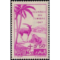 maroc 244 *