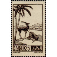 maroc 237 **