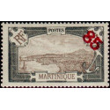 marti 091 **