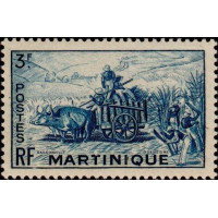 marti 234 *