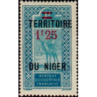 nig 24 **