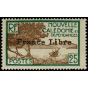 nca 203 *