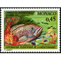 mona 0981/83 **