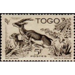 togo 248 *