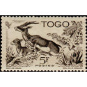 togo 248 **