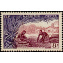 togo 256 *