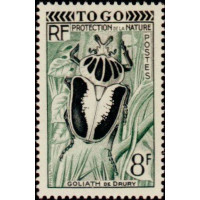 togo 258 **