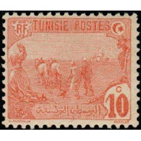 tunis 032 **