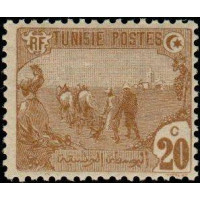 tunis 034 **