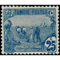 tunis 035 **