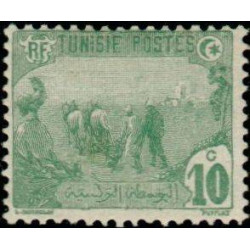tunis 071 *