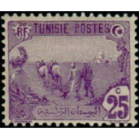 tunis 072 *