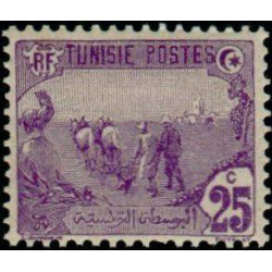 tunis 072 **