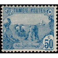 tunis 074 *