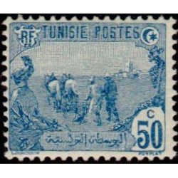 tunis 074 *