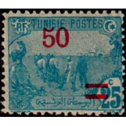 tunis 099 **