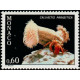 mona 1253/63 **