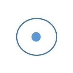 a.e.f. 111 obl