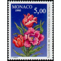 mona 1981 **