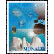 mona 2181 **