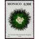 mona 2462 **