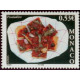 mona 2491/92 **