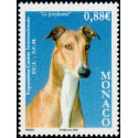 mona 2622 **