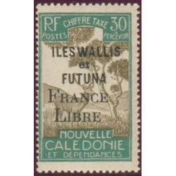 wallis T 31 **