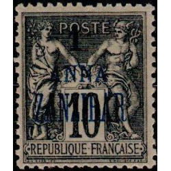 zanzi 20 *