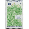 TAAF 154 **