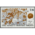 TAAF 156 **