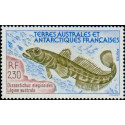 TAAF 166 **