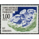 TAAF 185 ** A.GERBER Philatélie Colonies française
